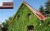 <p><span style="color: #333333; font-size: 13px;"><span style="color: #808080;">EFH in Meusdorf, SOLVIS-Max 650l, 11qm Kollektorfläche, indach<strong><br>Beratung: </strong>Roland Neumann;<strong> Bau:</strong> Bachstein-Solar/Matthias Bruder Solar + Wärmetechnik</span></span></p>