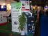HGF08-1.JPG