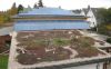 <p><span style="color: #333333; font-size: 13px;"><span style="color: #808080;">Installation einer PV-Anlage auf Haupthaus und als Überdachung für einen Carport<br><strong>Handwerksbetrieb:</strong> Bachstein-Solar**</span></span></p>