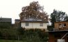 <p><span style="font-size: 13px;">EFH - Belegung Ostdach mit 13xBenQ335 Sunforte<br><strong>Planung und Bau:</strong> Sonnenplaner e.K.</span></p>